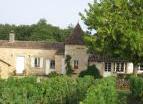  - Au Milieu des Vignes