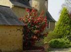 Chambres d'hôtes - Manoir des Forges