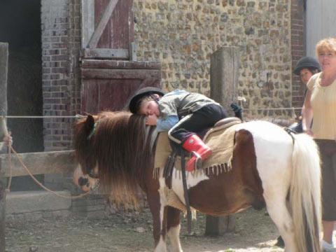 Ferme Equestre de Montigny - Photo principale