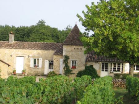 Au Milieu des Vignes