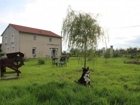 Chambres d'hôtes des Zamimaux