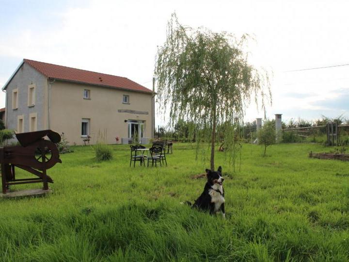 Chambres d'hôtes des Zamimaux - Photo principale