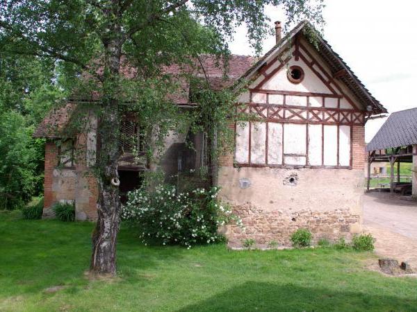 Ferme Equestre Basse Cour de Saint-Martin - Photo principale