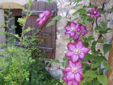 Les Terres d'Héphaïstos