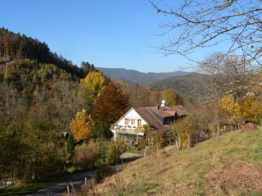 La Ferme de Steye