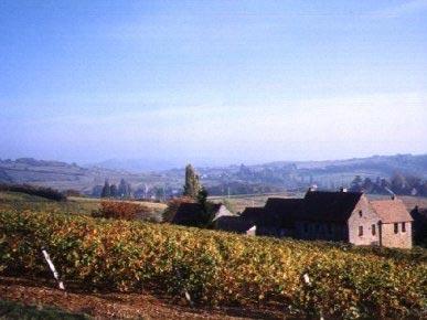 Domaine des Champs de Bey