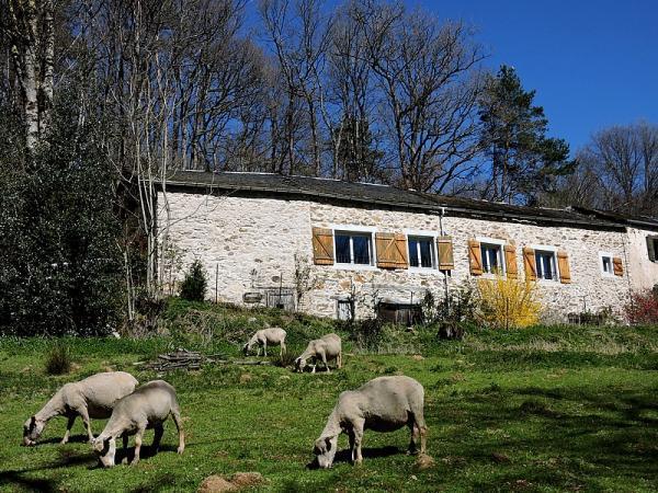 Moulin du Barthas - Photo principale