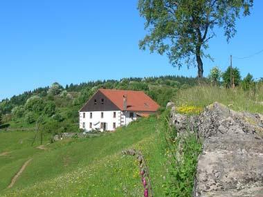 Les Tannes - Photo principale