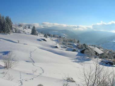 Les Tannes - Photo principale